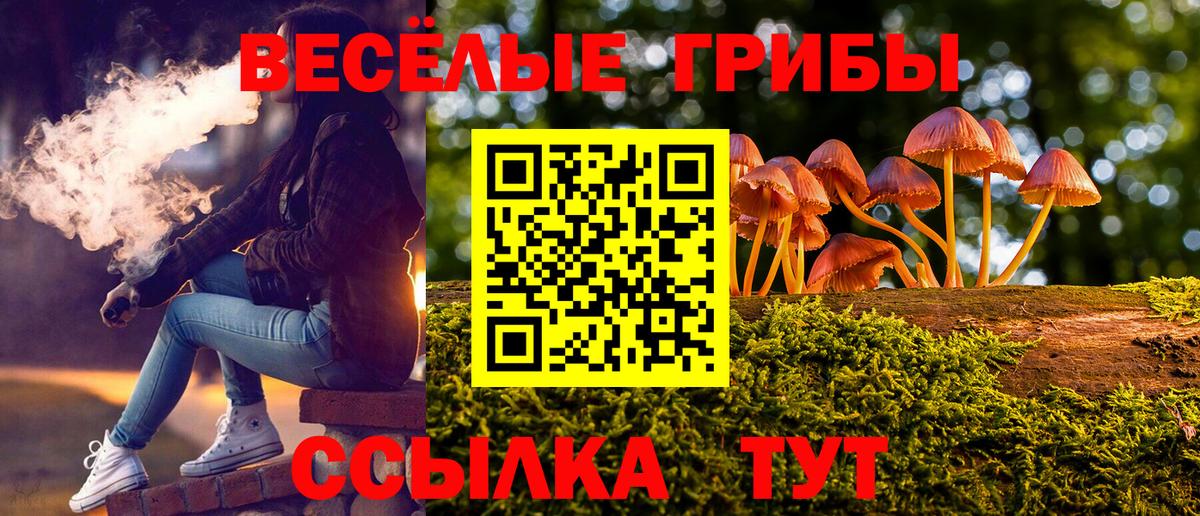 Псилоцибиновые грибы мицелий Нижневартовск