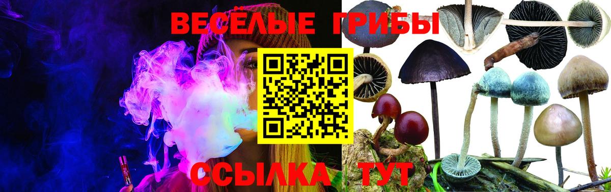 Псилоцибиновые грибы Cubensis  где продают наркотики  Нижневартовск  Вход с VPN  Галлюциногенные грибы MAGIC MUSHROOMS 