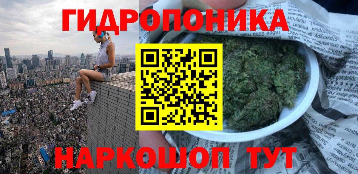 Бошки марихуана гибрид  Конопля OG Kush  Вход с VPN  Нижневартовск 